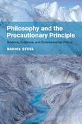 Steel |  Philosophy and the Precautionary Principle | Buch |  Sack Fachmedien