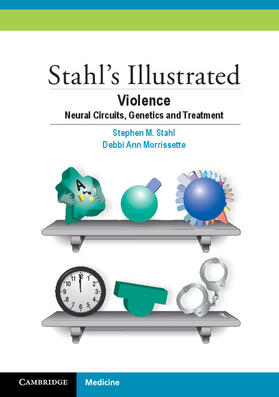 Stahl / Morrissette | Stahl's Illustrated Violence | Buch | 978-1-107-44160-6 | sack.de