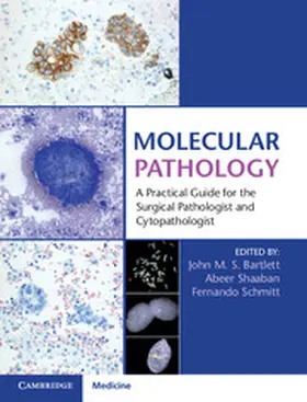 Bartlett / Shaaban / Schmitt |  Molecular Pathology with Online Resource | Buch |  Sack Fachmedien