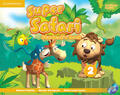 Puchta / Gerngross / Lewis-Jones |  Super Safari American English Level 2 Student's Book with DVD-ROM | Buch |  Sack Fachmedien