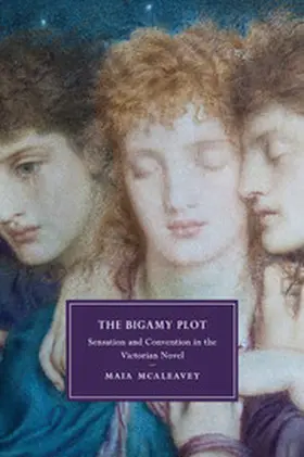 McAleavey |  The Bigamy Plot | Buch |  Sack Fachmedien