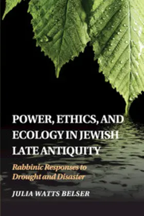 Belser |  Power, Ethics, and Ecology in Jewish Late Antiquity | Buch |  Sack Fachmedien