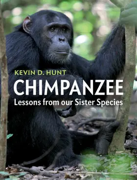 Hunt | Chimpanzee | Buch | 978-1-107-54441-3 | sack.de