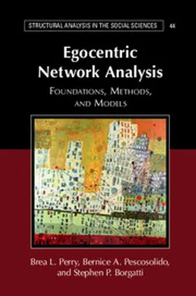 Perry / Pescosolido / Borgatti |  Egocentric Network Analysis | Buch |  Sack Fachmedien