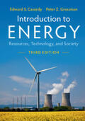 Cassedy / Grossman |  Introduction to Energy | Buch |  Sack Fachmedien