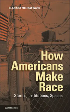 Hayward |  How Americans Make Race | Buch |  Sack Fachmedien
