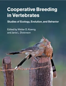 Koenig / Dickinson |  Cooperative Breeding in Vertebrates | Buch |  Sack Fachmedien