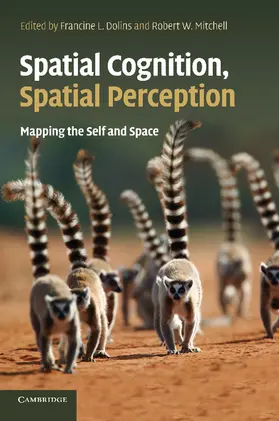 Dolins / Mitchell |  Spatial Cognition, Spatial Perception | Buch |  Sack Fachmedien