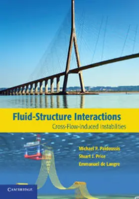 Païdoussis / Price / de Langre | Fluid-Structure Interactions | Buch | 978-1-107-65295-8 | www.sack.de