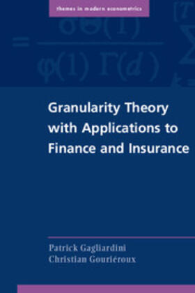 Gagliardini / Gouriéroux | Granularity Theory with Applications to Finance and Insurance | Buch | sack.de