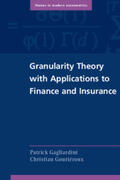 Gagliardini / Gouriéroux |  Granularity Theory with Applications to Finance and Insurance | Buch |  Sack Fachmedien