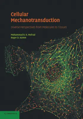 Mofrad / Kamm |  Cellular Mechanotransduction | Buch |  Sack Fachmedien
