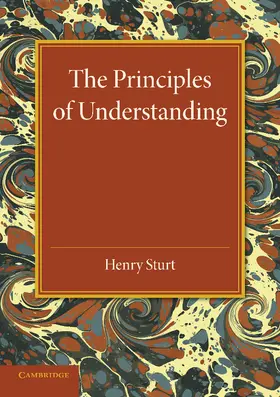 Sturt |  The Principles of Understanding | Buch |  Sack Fachmedien