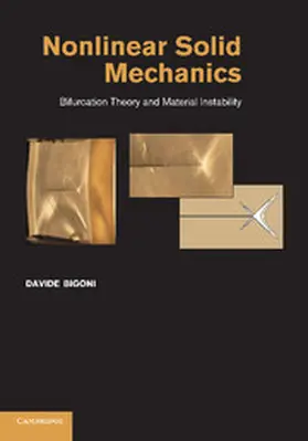 Bigoni |  Nonlinear Solid Mechanics | Buch |  Sack Fachmedien