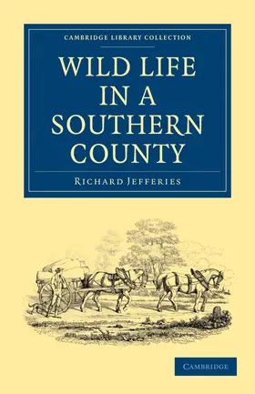 Jefferies |  Wild Life in a Southern County | Buch |  Sack Fachmedien