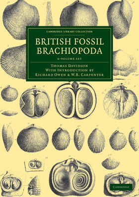 Davidson | British Fossil Brachiopoda 6 Volume Set | Medienkombination | 978-1-108-03823-2 | sack.de