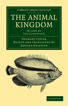 Cuvier |  The Animal Kingdom - Volume 10 | Buch |  Sack Fachmedien
