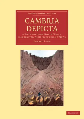 Pugh |  Cambria Depicta | Buch |  Sack Fachmedien