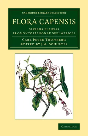 Thunberg / Schultes |  Flora Capensis | Buch |  Sack Fachmedien