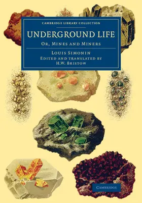 Simonin |  Underground Life | Buch |  Sack Fachmedien