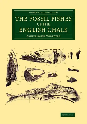 Woodward |  The Fossil Fishes of the English Chalk | Buch |  Sack Fachmedien