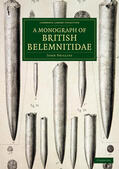 Phillips |  A Monograph of British Belemnitidae | Buch |  Sack Fachmedien