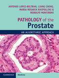 Lopez-Beltran / Cheng / Montironi |  Pathology of the Prostate: An Algorithmic Approach | Buch |  Sack Fachmedien