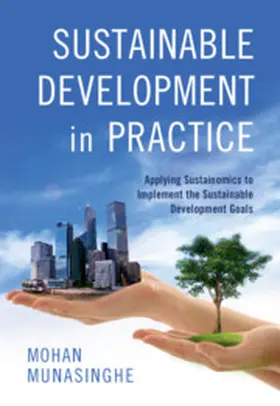 Munasinghe | Sustainability in the Twenty-First Century | Buch | 978-1-108-40415-0 | www.sack.de