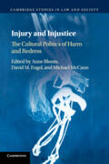 Bloom / Engel / McCann |  Injury and Injustice | Buch |  Sack Fachmedien