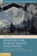 Roach |  Remedies for Human Rights Violations | Buch |  Sack Fachmedien