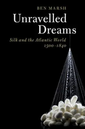Marsh | Unravelled Dreams | Buch | 978-1-108-41828-7 | sack.de
