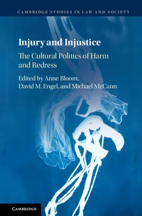 Bloom / Engel / McCann | Injury and Injustice | Buch | 978-1-108-42024-2 | sack.de