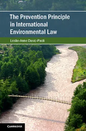 Duvic-Paoli |  The Prevention Principle in International Environmental Law | Buch |  Sack Fachmedien