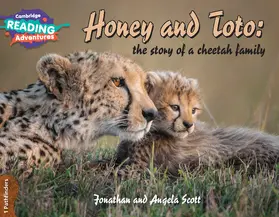 Scott |  Cambridge Reading Adventures Honey and Toto | Buch |  Sack Fachmedien