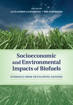 Gasparatos / Stromberg |  Socioeconomic and Environmental Impacts of Biofuels | Buch |  Sack Fachmedien