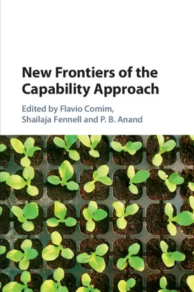 Comim / Fennell / Anand |  New Frontiers of the Capability Approach | Buch |  Sack Fachmedien