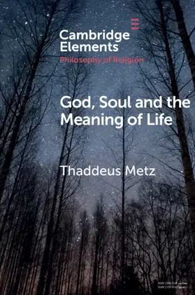 Metz |  God, Soul and the Meaning of Life | Buch |  Sack Fachmedien