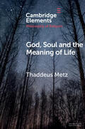 Metz |  God, Soul and the Meaning of Life | Buch |  Sack Fachmedien