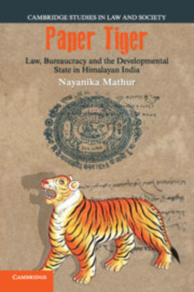 Mathur |  Paper Tiger | Buch |  Sack Fachmedien