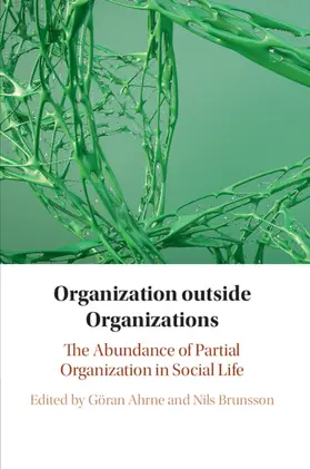 Ahrne / Brunsson |  Organization outside Organizations | Buch |  Sack Fachmedien