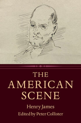 James / Collister | The American Scene | Buch | 978-1-108-47117-6 | sack.de