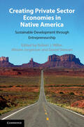 Jorgensen / Miller / Stewart |  Creating Private Sector Economies in Native America | Buch |  Sack Fachmedien