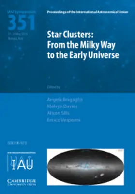 Bragaglia / Davies / Sills |  Star Clusters (IAU S351) | Buch |  Sack Fachmedien