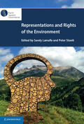 Lamalle / Stoett |  Representations and Rights of the Environment | Buch |  Sack Fachmedien
