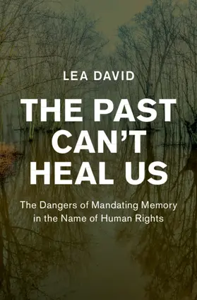 David |  The Past Can't Heal Us | Buch |  Sack Fachmedien
