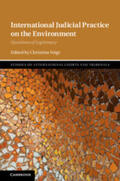 Voigt |  International Judicial Practice on the Environment | Buch |  Sack Fachmedien
