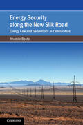 Boute |  Energy Security along the New Silk Road | Buch |  Sack Fachmedien