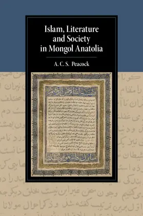 Peacock |  Islam, Literature and Society in Mongol Anatolia | Buch |  Sack Fachmedien
