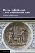 Scheinin |  Human Rights Norms in 'Other' International Courts | Buch |  Sack Fachmedien