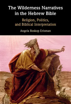Erisman |  The Wilderness Narratives in the Hebrew Bible | Buch |  Sack Fachmedien